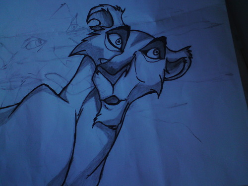  My Drawing of Zira
