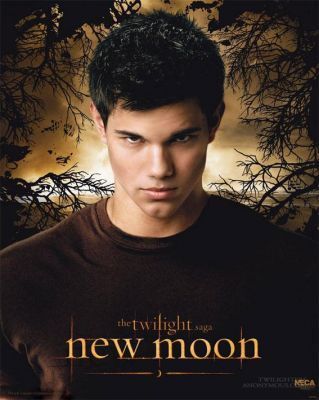 New Moon - der Film