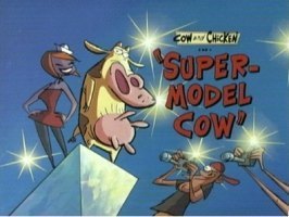  Supermodel Cow