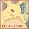  The Cutest Rabbite Ever XD