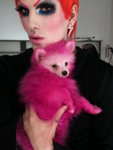  With his dog named Ice Cream, Fabulous!