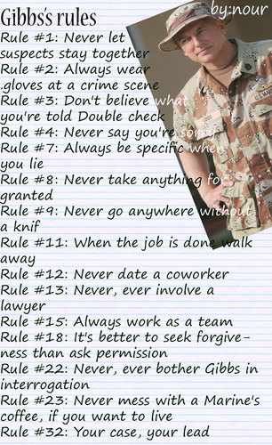  gibbs rules