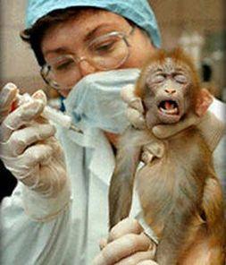  help animal testing!