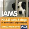 help animal testing!