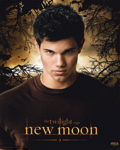  new moon posters