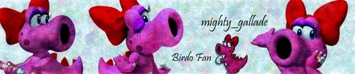  Birdo banner