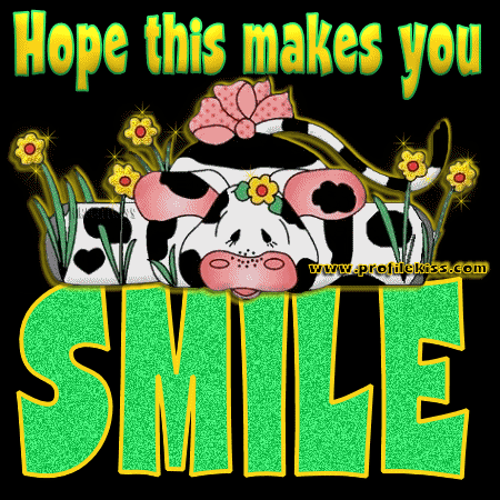  Happy Cow Smile