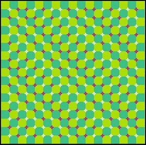  does it move???