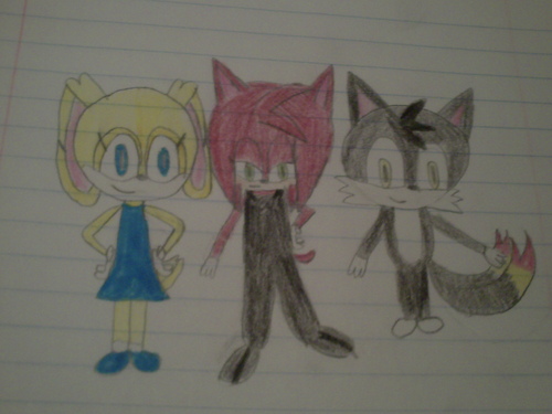  estrela the rabbit, ruby the hedghog, and flame the raposa