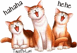 Cat's laugh