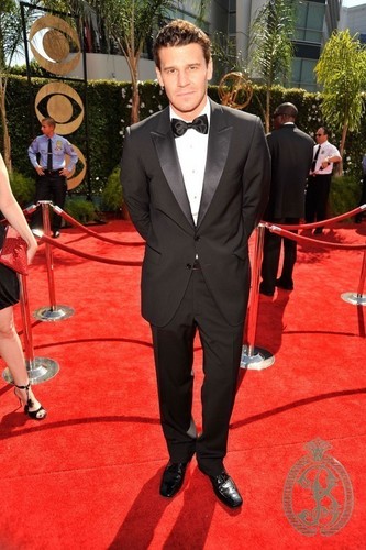  David at the Emmys