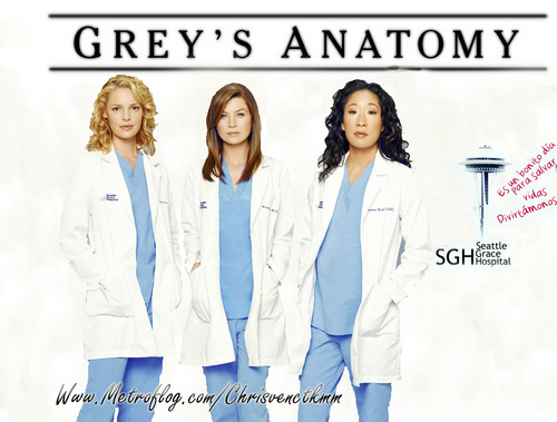  Grey's Anatomy