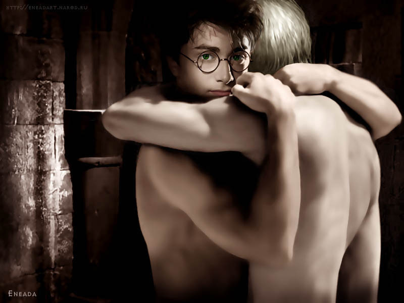Harry and Draco - harry-and-draco photo