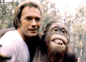  Hot Smile for Sylvie (Clint Not The Gorilla)