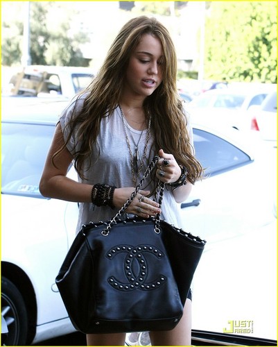  Miley in Studio City