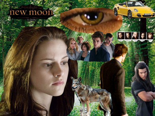  New Moon ファン Poster