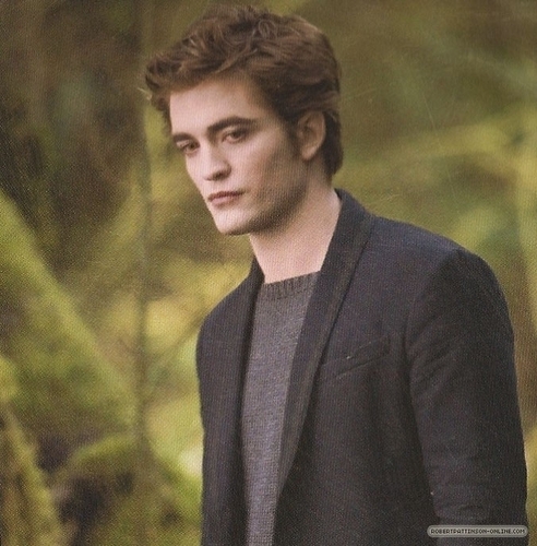  foto from the New Moon 2010 Calendar