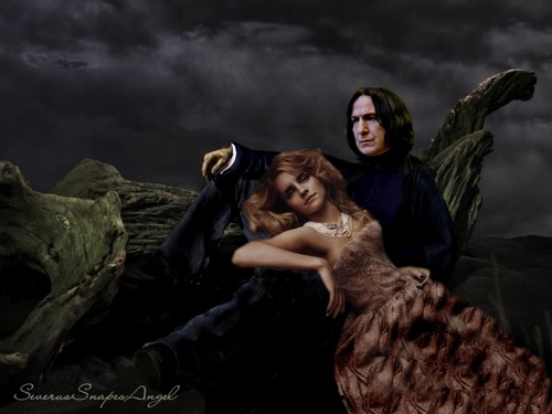  Severus and Hermione 1