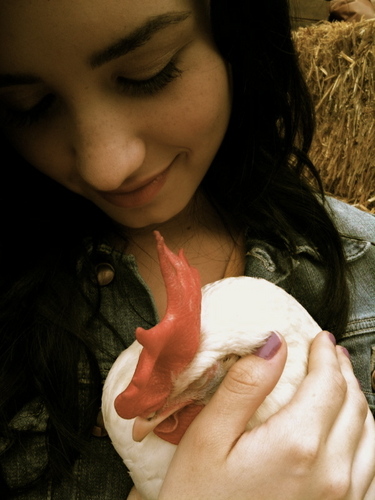  demi lovato & a chicken !!!