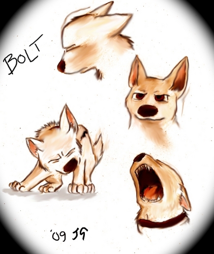  Bolt Sketches Yay