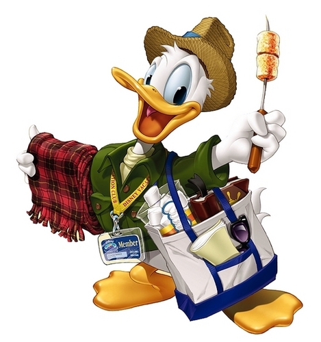  Donald 鸭 all set for Vacation