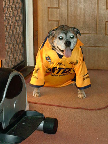  Even the anjing go for Parra now!