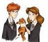  Ron, Hermione and Crookshanks