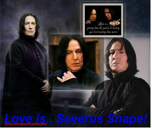  Severus- Is 爱情