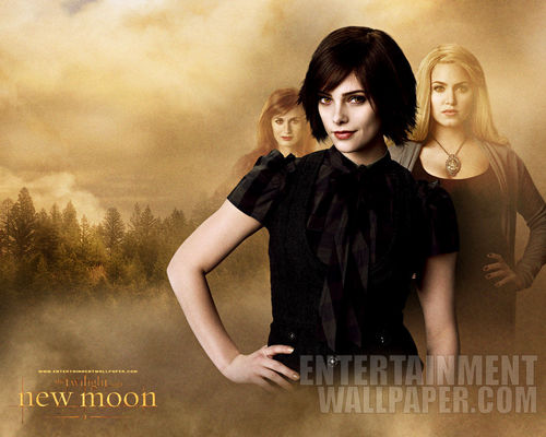  Alice, Esme & Rosalie New Moon Hintergrund