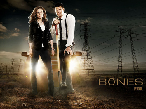  Booth and Brennan wallpapers