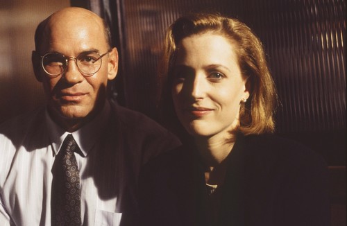 http://images2.fanpop.com/images/photos/8400000/MP-and-GA-the-x-files-8411130-500-326.jpg