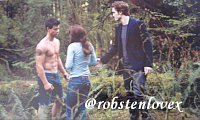  New Moon Companion Book Scans