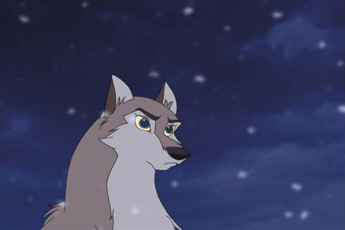  serigala, wolf Quest