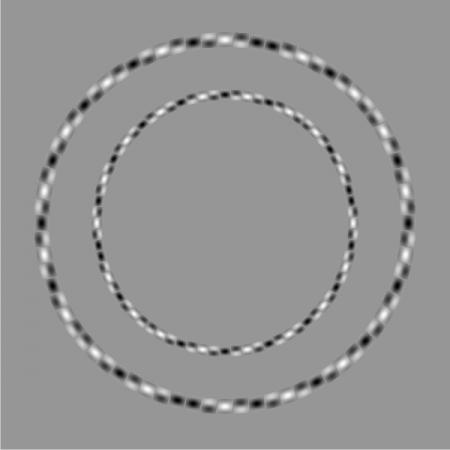  Optical Illusion