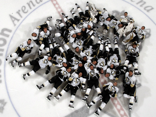  Pittsburgh Penguins Nap time!