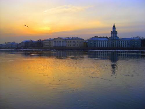  St. Petersburg