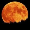 Full moon :) -sapherequeen- photo
