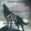 So long as there is a MOON, Flowers will never DIE, And neither will us WOLVES K5-HOWL photo