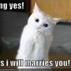 OMG yes! yes i will marries you!! - ICanHasCheezburger LiilacLottiie94 photo