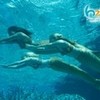Swimming mermaids Mermaid-Gurl photo