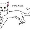Whitestorm, once deputy of Thunderclan Whitestorm photo