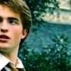 Cedric/Robert! <33 anetted photo