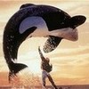 So Whales So Totally Can Be Movie Stars!! axlluver43 photo