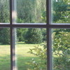 the view out my window bubblykat91 photo