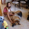 Me And My Dog Simba x princeandchloe photo