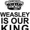 weasley is our king volleyblue13 photo