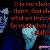 dumbledore quote 3  volleyblue13 photo
